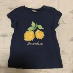 プティマイン　 90cm　ネイビー