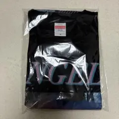 Item thumbnail for item 8c1649ac-b237-4f81-aea5-b2ed85380ac8