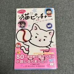 おはなし 猫ピッチャー ミー太郎、ニューヨークへ行く!の巻