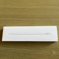 Apple Pencil (USB-C)新品未使用未開封品