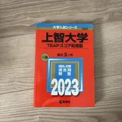 上智大学 TEAPスコア利用型 2023