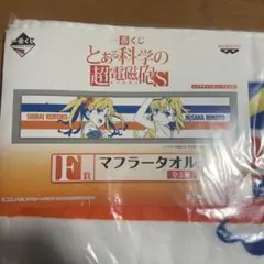 白井黒子　アニメキャラクタータオル 御坂美琴＆白井黒子(プールサイド) フェイスタオル 「とある科学