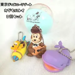 東京ディズニーリゾート カプセルトイ3個セット