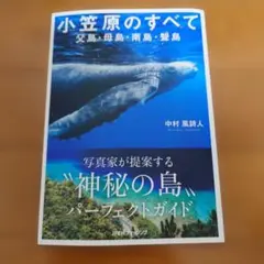 Item thumbnail for item 850a9b72-a858-483b-a765-7e21658df659