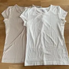 Foxfire QUICK DRY Tシャツ Sサイズ 2色セット