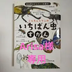 こんちゅうクンのいちばん虫ずかん