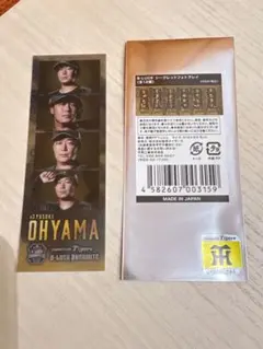 大山選手 阪神タイガース B-LUCK フォトグレイ