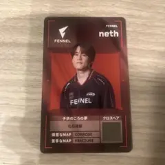 FENNEL neth VALORANT CHALLENGERSカード