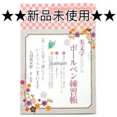 新品 ボールペン字練習帳 美文字 dn