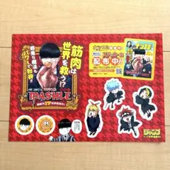 【非売品】マッシュル販促用 ポップ