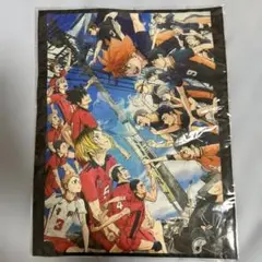【未開封】ハイキュー!! ゴミ捨て場の決戦 リバーシブルランチョンマット