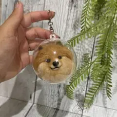 ポメラニアン　羊毛フェルト　フェイスマスコット　うちの子　犬　ペット