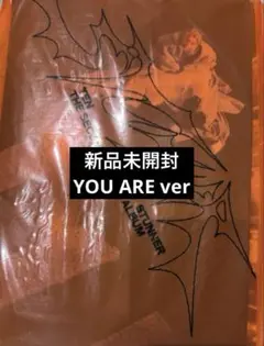 WayV 威神V TEN テン STUNNER YOU ARE ver 未開封