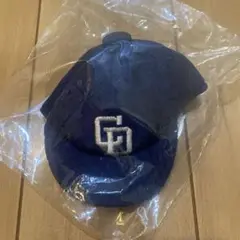 中日ドラゴンズ　ミニ　帽子