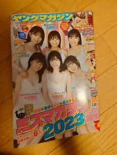 ヤングマガジン 2023