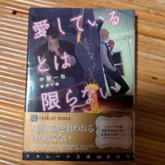 〈愛しているとは限らない〉中原一也　奈良千春
