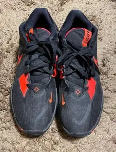 Item thumbnail for item 08d1b2f9-72e2-43e6-b478-d9ff6f569a36