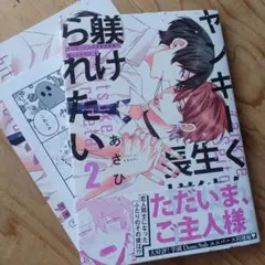 ヤンキー君は生徒会長様に躾けられたい　②
