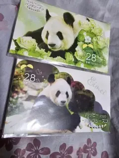 アドベンチャーワールド　永明　マスクケース