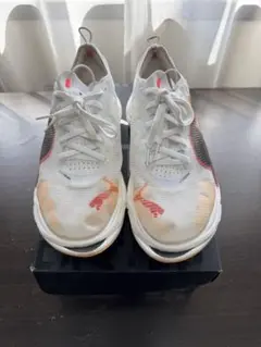 Item thumbnail for item 669216fb-7c78-4a65-92de-34f204fdaf92