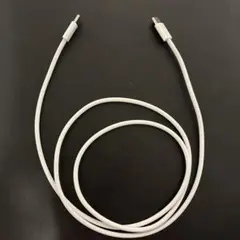 type C to C ケーブル　Apple純正