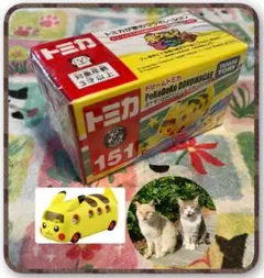 ドリームトミカ ピカチュー　ミニカー　ポケモン　タカラトミー　外猫支援
