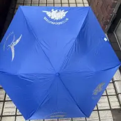 Item thumbnail for item 2010df3a-d564-47ea-88b1-85a159d23158