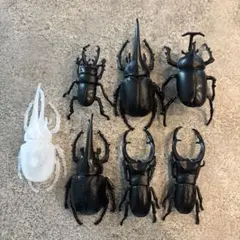 昆虫フィギュア 8体セット 黒 透明