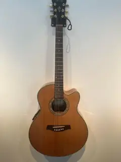 Ibanez AEL4512SE-NT-3T-01【 新品弦3セット付き】 Yahoo!オークション - アイバニーズ IBANEZ 12弦 AEL4512SE-NT