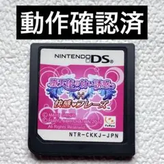 ji【動作確認済】NintendoDS 堕天使の甘い誘惑