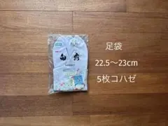 Item thumbnail for item c51af5fd-d100-4f1e-a048-12a359aa909c