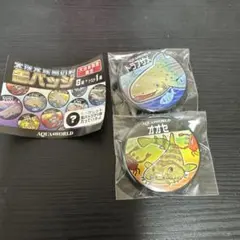 アクアワールド大洗　オオセ・トラフザメ　缶バッジ