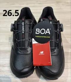 Item thumbnail for item cfac9682-72c3-48a4-bbc4-7bfaf85fc517