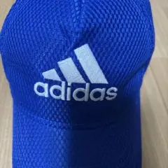 Item thumbnail for item 0de33126-9a3b-4b22-ad2d-3f6017e631b5