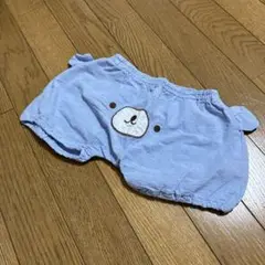 熊さん　パンツ
