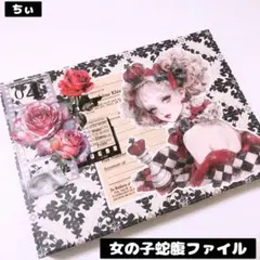 おすそ分け蛇腹ファイル 女の子 コラージュ素材 紙もの フラワー 収納ファイル