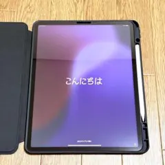 iPad Pro 12.9 第6世代 256GB SIMフリー MP203J/A