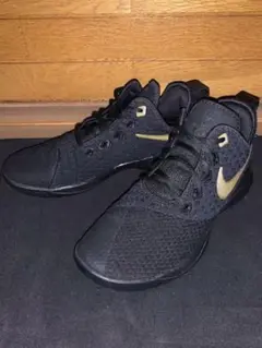 【✨極美品✨】Nike LeBron Witness 3 EP 25.5cm