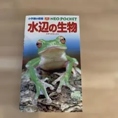 水辺の生物