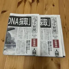 ジュラシック・ワールド ジュラ新聞 2025年8月8日 広告号外　2枚セット
