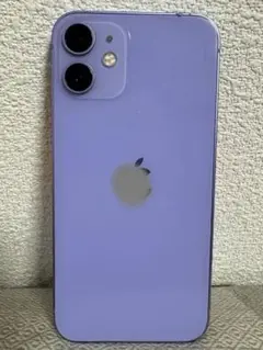 iPhone 12 mini パープル 本体　256GB SIMフリー