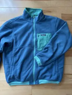 パタゴニア:Patagonia Shelled Microdini Jacket