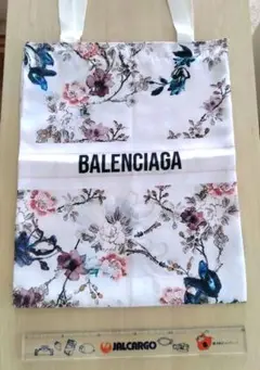 Item thumbnail for item 8c7281c7-7ab2-4cfe-8883-0b0d98627bd5