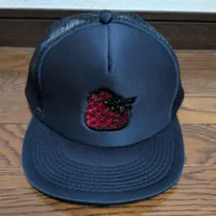 insane 苺ちゃん SK8 CAP
