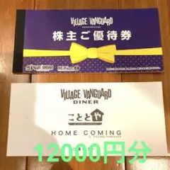 ヴィレッジヴァンガード 株主優待券 12000円分