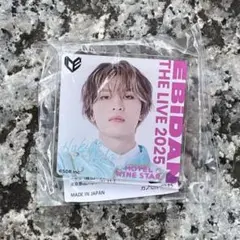 EBiDAN エビライ デコガチャ ICEx 千田波空斗