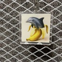 バナニータドルフィニータ　キーホルダー