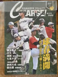 横浜　横浜隼人高校 大谷学園　ユニフォーム 縦縞ストライプ 横浜 横浜隼人高校 大谷学園 ユニフォーム 縦縞ストライプ 横浜