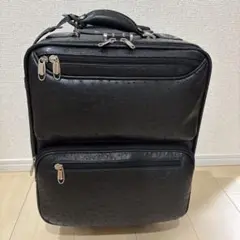 高級キャリーケース　オーストリッチ　本革　黒　機内用