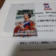 アルビレックス新潟 長谷川元希 ステッカー 後援会限定 入会特典 非売品